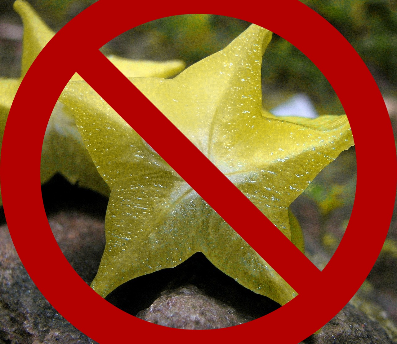 Don't take star fruit if you have kidneys issues