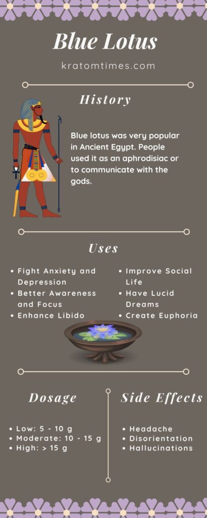 What is blue lotus infographic