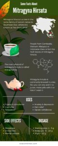Facts about Mitragyna Hirsuta - Infographic