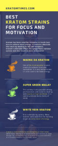 kratom for focus and motivation infographic