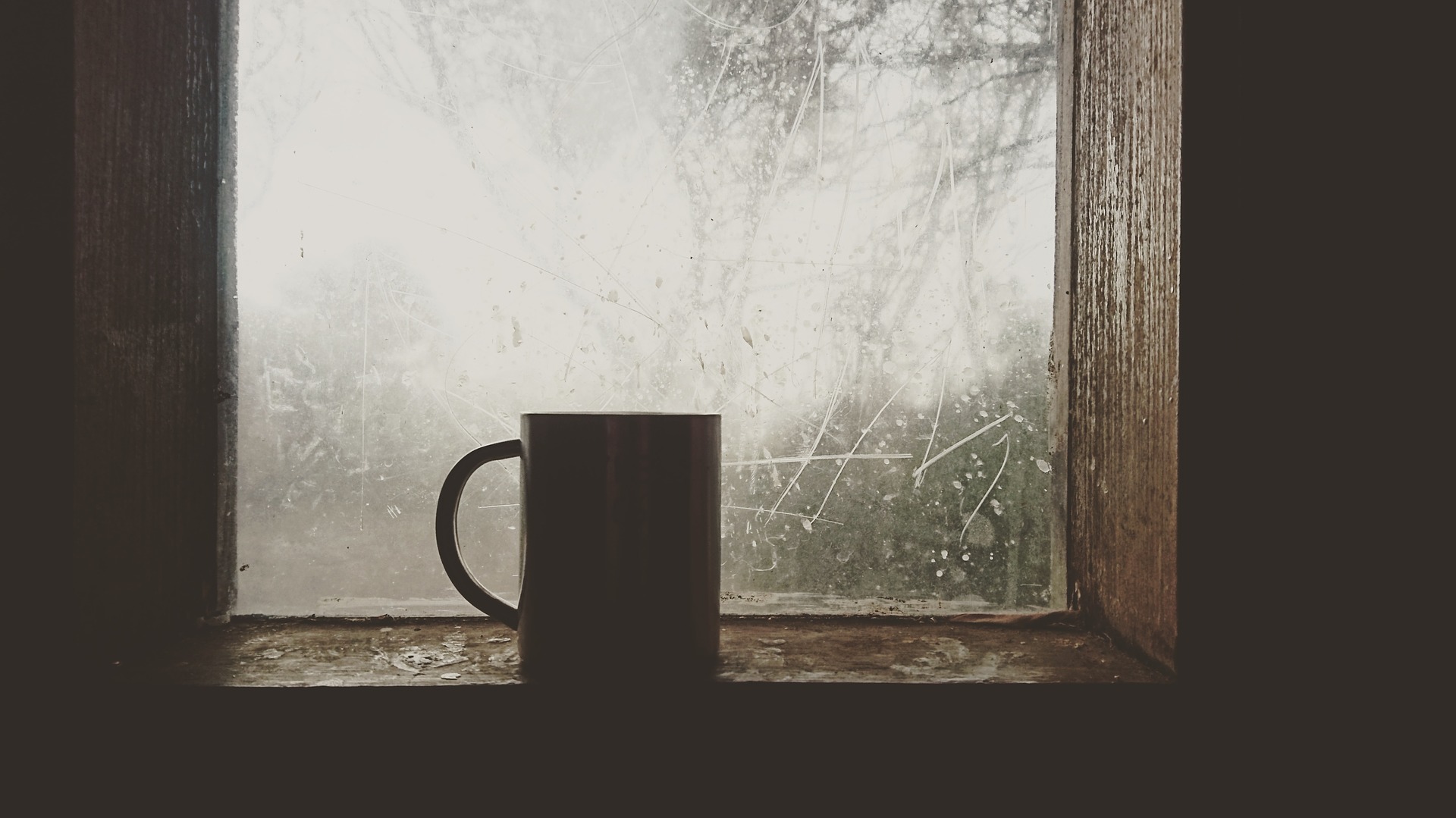 cup on a windowsill 