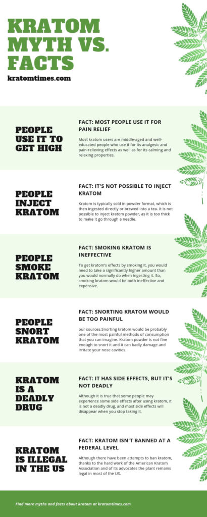 kratom myths and facts infographic