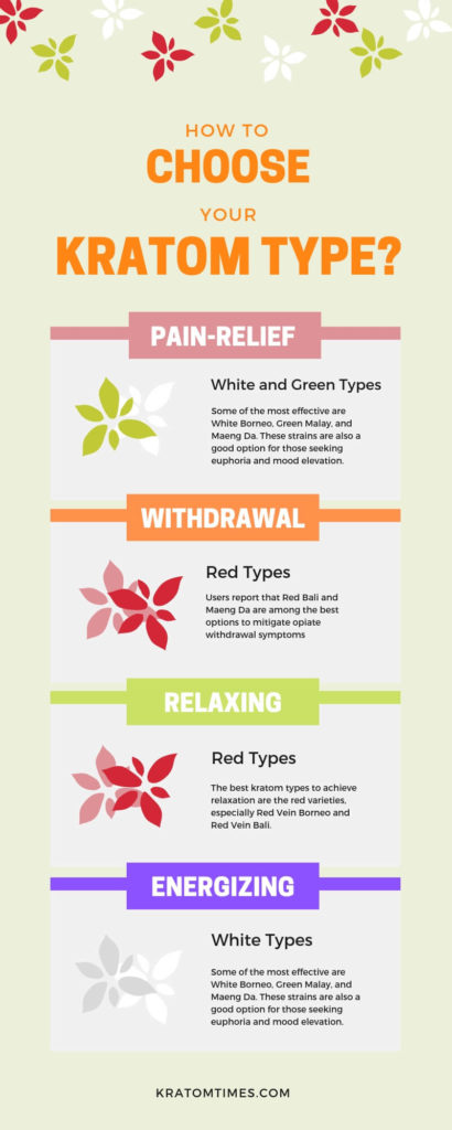 how to choose your kratom type infographic