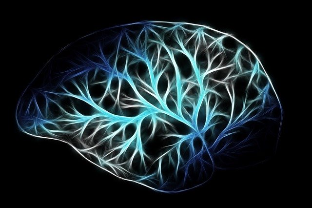 what are cannabinoids