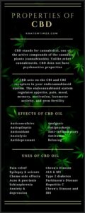 Properties of CBD Oil - Infographic