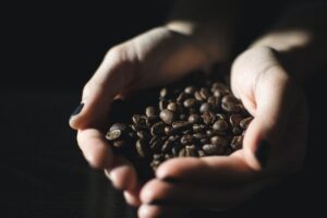 A pair of hands holding coffee beans